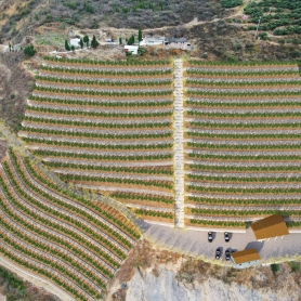 园林透视单张一张