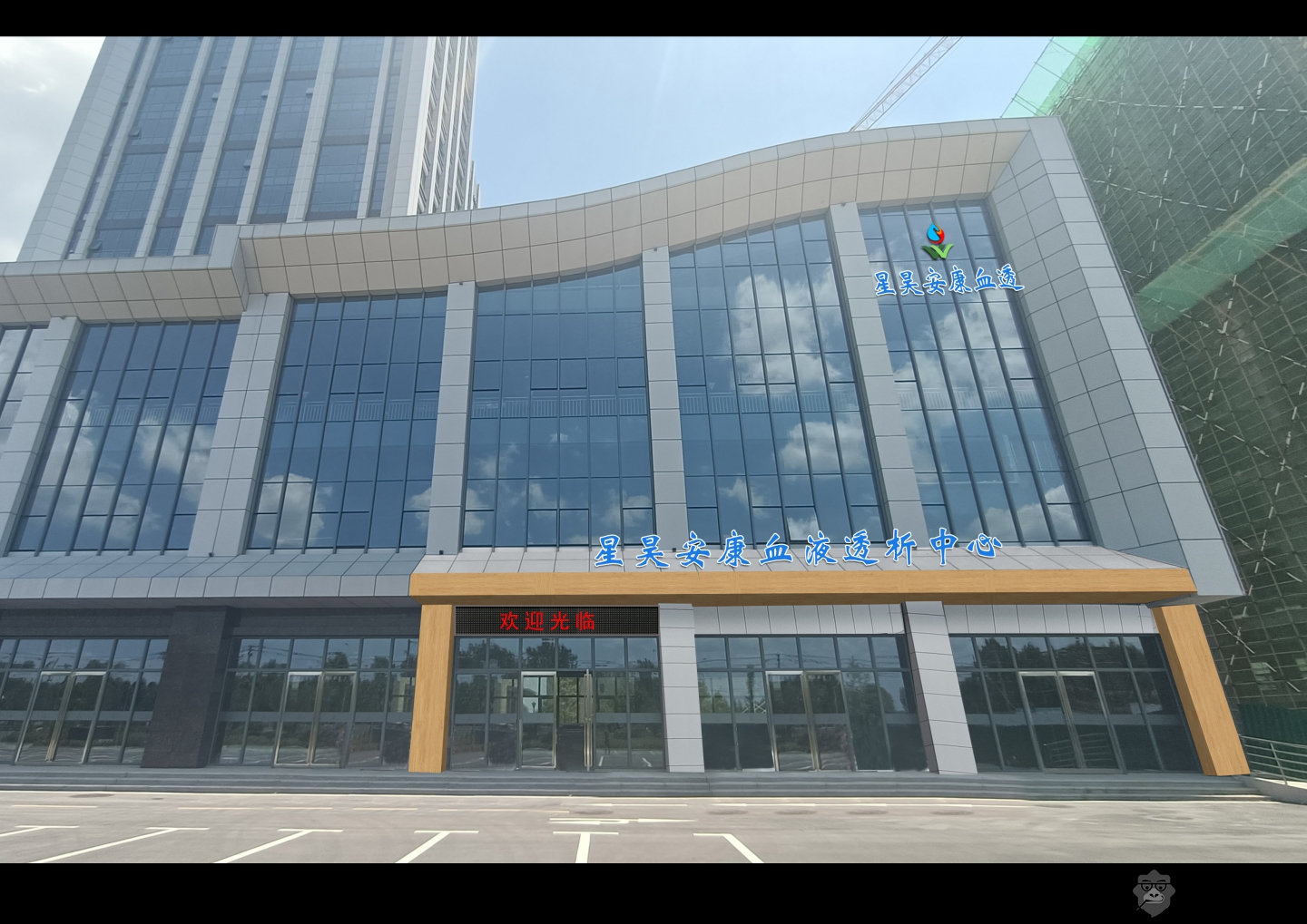 易总p图-995