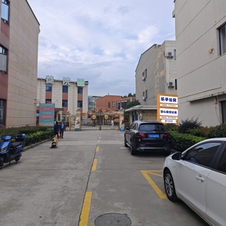 p图1