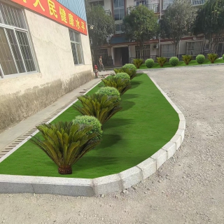 p图5