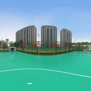球场全景