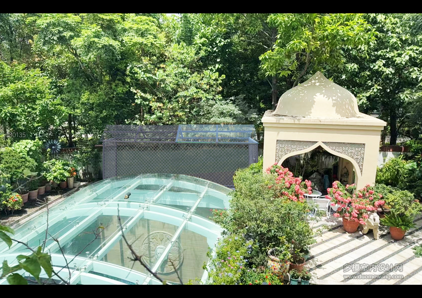 蜥蜴笼子p图