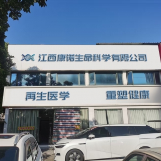 P图