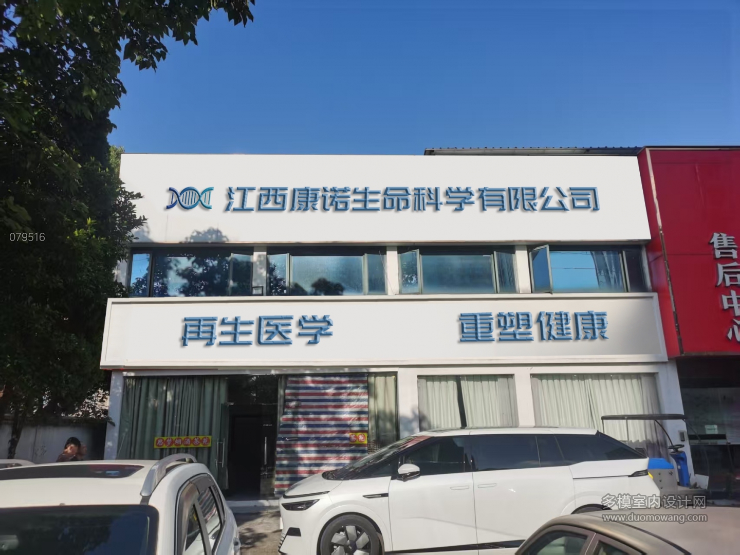 P图
