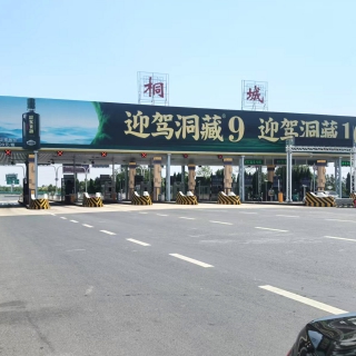 柱p图2