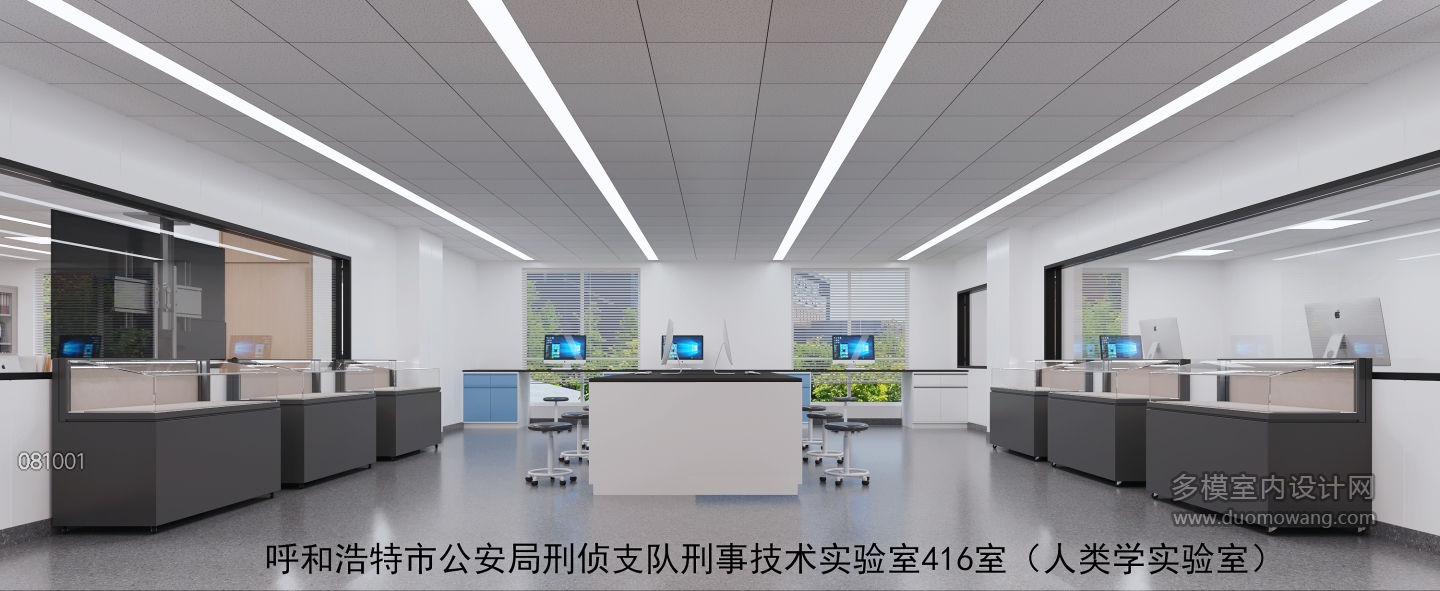 人类学实验室 拷贝
