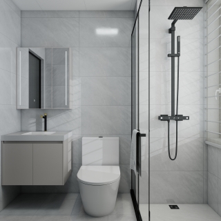 现代--2号楼C户型(主卫)单张