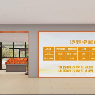 现代沙棘店-3
