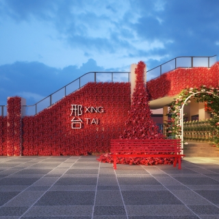 河北邢台透视