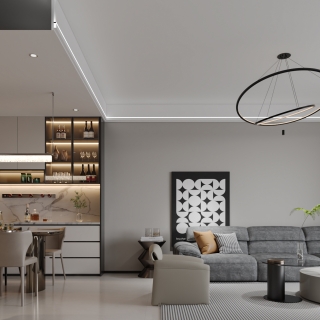 现代客餐厅特写 (1)