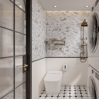 法式复古 次卫 湿区 静态2