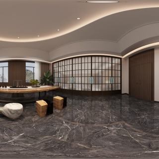 现代VIP接待厅 (1)