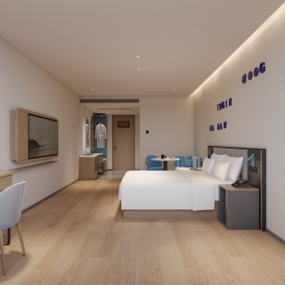 现代 客房 大床