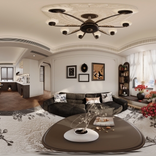 中古 客厅 全景