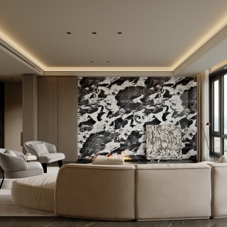 意式 电视 静态