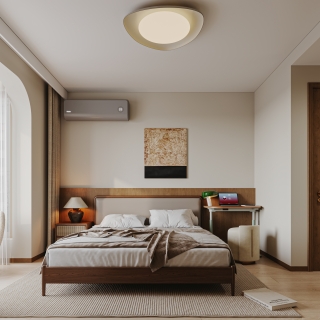 中古风主卧特写