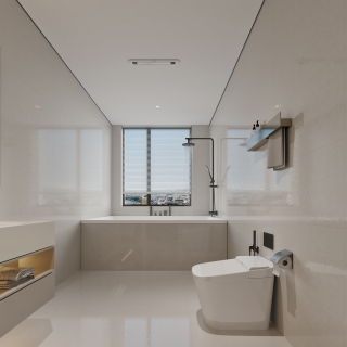 现代风格主卫特写