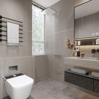 主卧卫生间特写