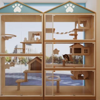 现代猫咪暂存区