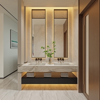 碧桂园一层912_一层客卫干区