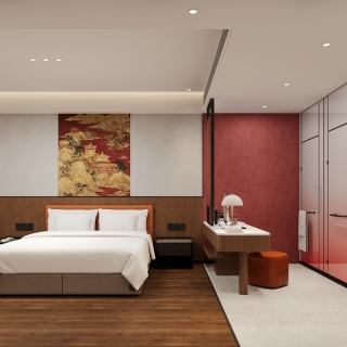 现代单人间2 电视墙