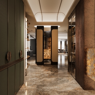 现代入户门厅内