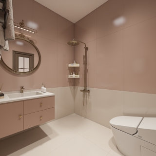 中古女孩卫生间