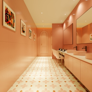 山东泰安卫生间