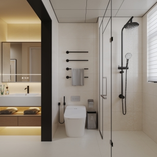 现代公共卫生间