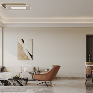 现代客餐厅特写2