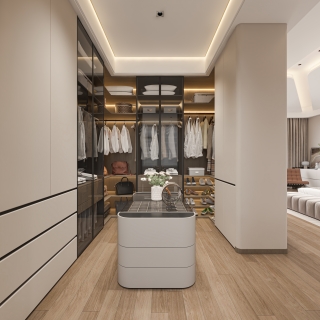 现代衣帽间