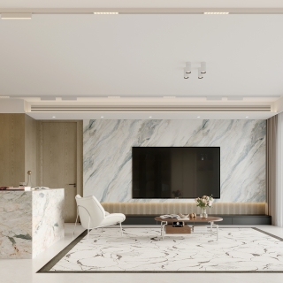 现代法式中古一层电视墙