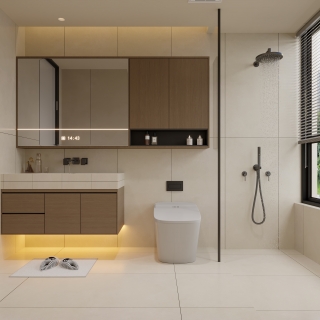 中古二楼卫生间