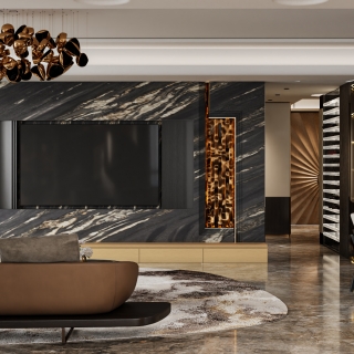 现代客厅特写 (1)