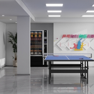 物业公司-乒乓球室