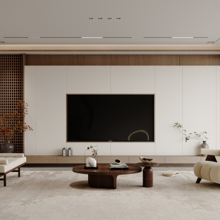 AutoBackup05_单张电视背景