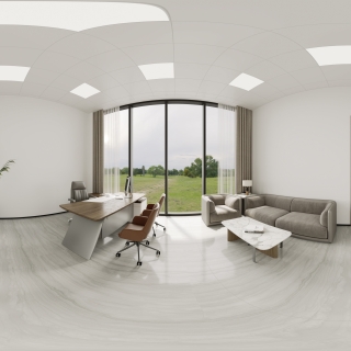 现代副总经理办公室 (3)