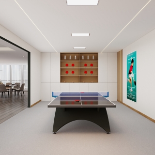 现代-乒乓球室
