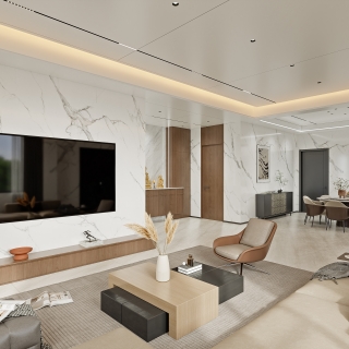 傅总自建房_一层客厅003