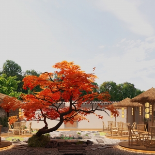 侘寂餐厅静态庭院d (1)