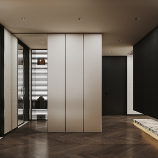 现代-衣帽间特写2