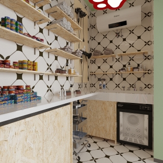 现代猫舍特写 (1)