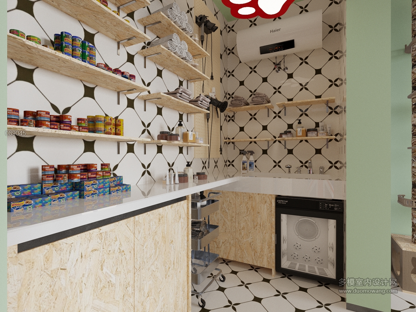 现代猫舍特写 (1)