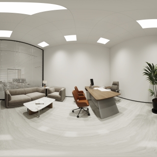 现代副总经理办公室 (2)