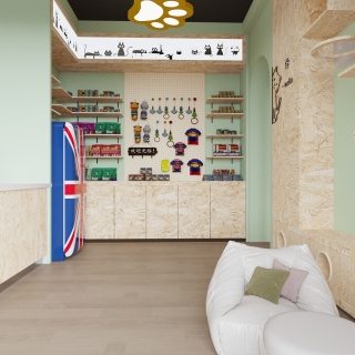 现代猫舍特写 (3)