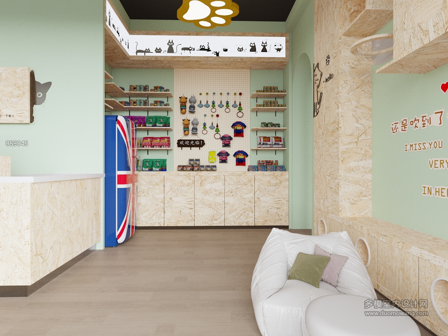 现代猫舍特写 (3)