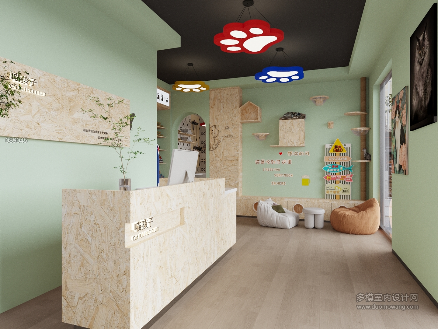 现代猫舍特写 (4)