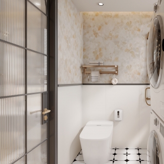 法式中古客卫湿区1