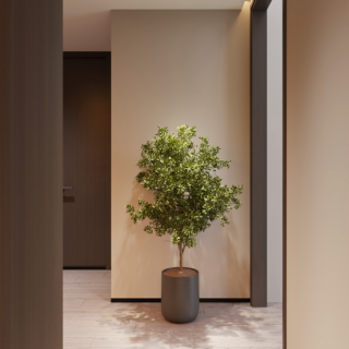 改图城堡女儿房特写