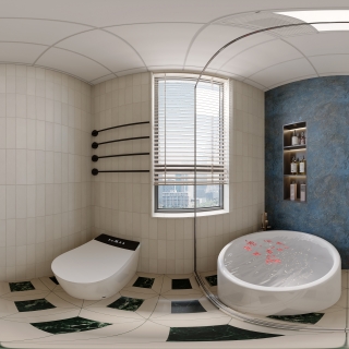 中古包豪斯 主卫全景